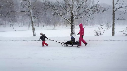 CHISINAU, MOLDOVA - JANUARY 29, 2021 Beautiful scene in the winter park with a mother and child