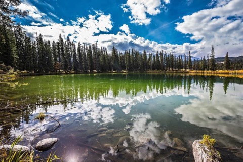 The shallow round lake is surrounded with the turned yellow bush and evergreen fir-trees