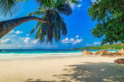 The Beach Anse Lazio, Praslin, Seychelles Island, Indian Ocean