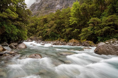 Mountainous Monkey creek flowing through impressive landscape next to Milford Sound highway, South