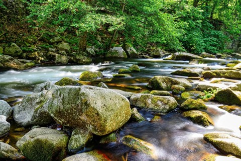 A view of the Bode riverbed in the Harz Mountains in glorious sunshine