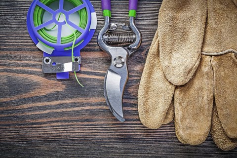 Sharp garden pruner safety gloves soft twist tie on wood board agriculture concept