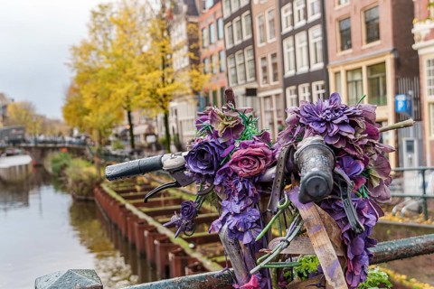 Decorated bicycle with purple flowers on a bridge in an urban environment, Amsterdam, Netherlands