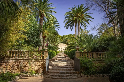 Mediterranean garden with palm trees and a stone staircase under a blue sky, Jardines de Alfabia,