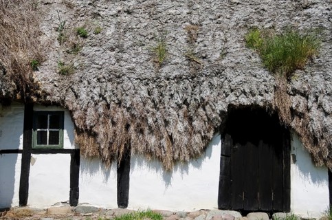 Detail of a medieval farm house with sea grass thatched roof, Denmark, Europe