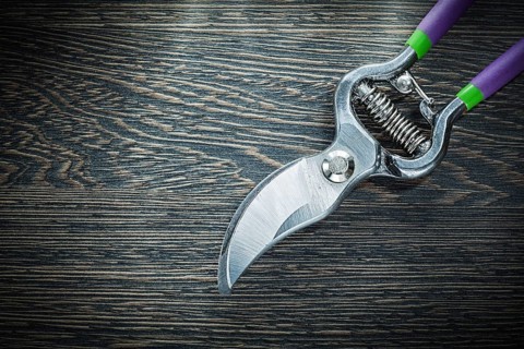 Sharp garden pruner on wooden board