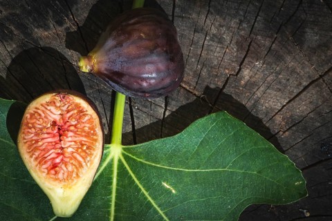 Figs and leaves on wood. Sun light