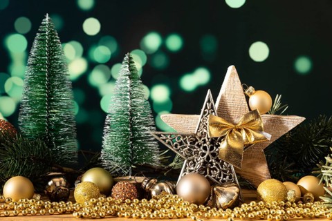 A Christmas decoration wooden star with fir trees