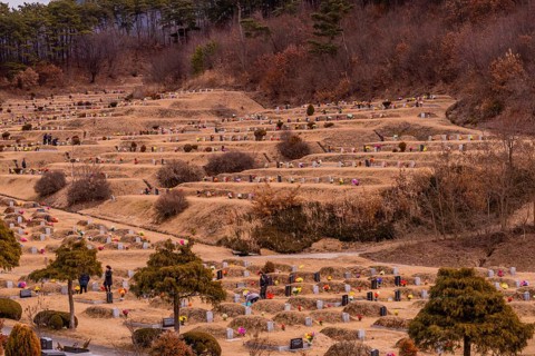 Gadeok-myeon, South Korea, January 26, 2020: Landscape of graves covered with dry brown grass at