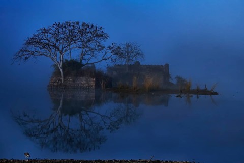An ancient building a trees reflecting off the waters of a Blue Lake in winters in Ranthambhore