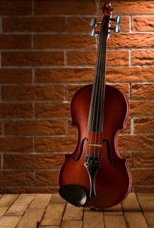 Old violin on table