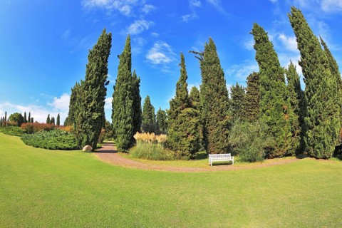 Gorgeous lawn in a park surrounded by cypress trees. To rest at the track is a handy white bench. ?