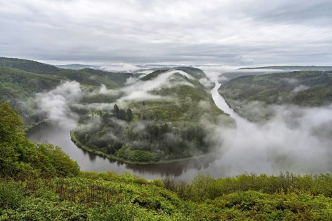 The Saarschleife in Mettlach is covered in fog in the morning in spring, Germany, Europe