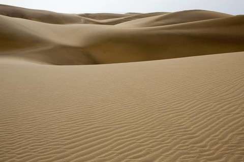 Desert dunes sand in Maspalomas Gran Canaria at Canary islands