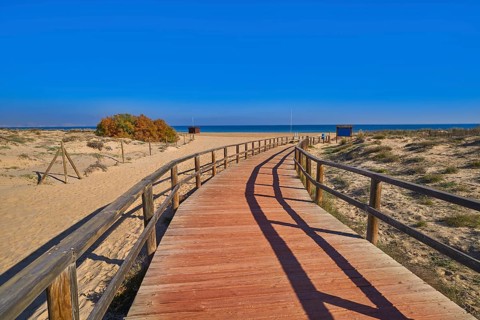 El Carabassi beach dunes in Elx Elche of Alicante in Spain at Costa Blanca also Carabasi