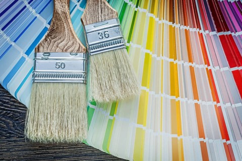 Set of color sampler paintbrushes on wooden board