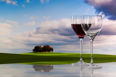 Autumn scenery and wine glasses with red wine