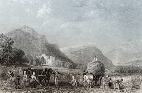 Grain harvest, Inveraray Castle, a country house near Inveraray, county of Argyll, Scotland, United