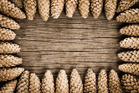 Frame from cones of Christmas tree on old wood