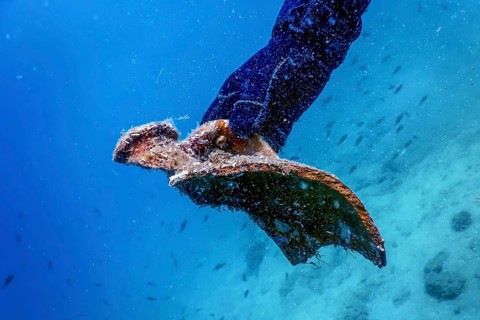 Underwater modern treasure hunter, diver sunken treasure