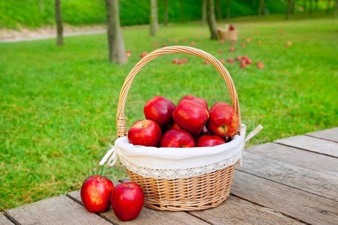 Basket of red apples on wood floor with green field background