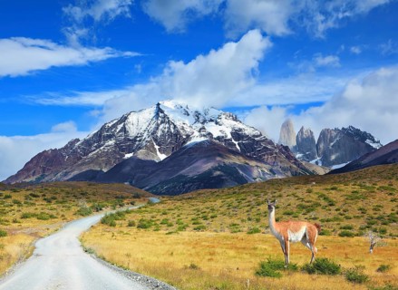 The beautiful summer morning in Patagonia. National Park Torres del Paine. On dirt road is worth