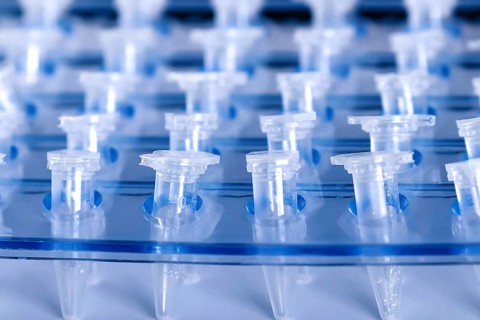 Science Plastic Test Centrifuge Tubes