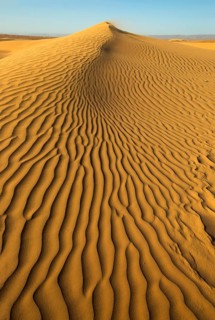 Sand blowing over sand dunes in wind, Sahara desert