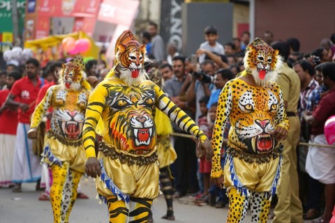 Pulikali Tiger Dance procession, Onam festival, Thrissur, Kerala, India, Asia