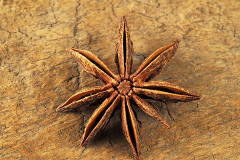 Star anise, mumbai, maharashtra, india, asia