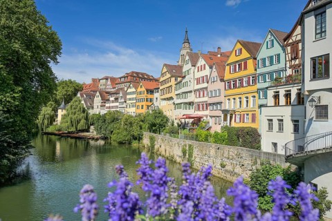 Neckar, Flowers at the Eberhardsbrücke, Old buildings, Neckar front, Old Town, Tübingen,