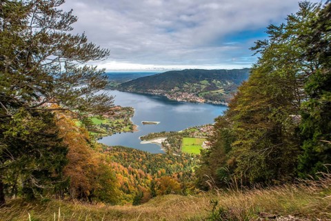 Scenic forest near lake Schliersee in Bavaria, Germany, Europe