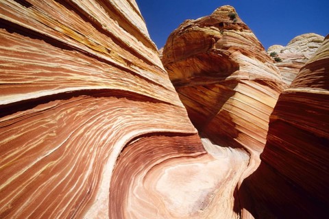 Sculpted sandstone cliffs of the Paria Wilderness, The Wave, Arizona, USA, Arizona, USA, North