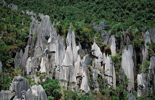 Limestone pinnacle, Borneo, Sarawak, Gunung Mulu NP, Malaysia, Asia