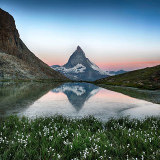 Matterhorn reflection in Riffelsee with flowers, Zermatt, Alps, Switzerland, Europe