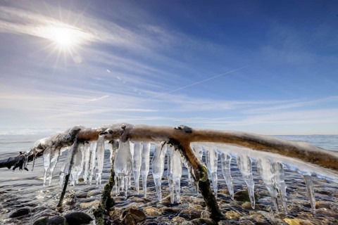 Icicles hanging from a branch in front of a sunny sky over the sea, harbour, Gohren, Lake