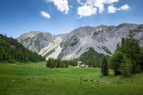 Zelenica above Ljubelj in Slovenia. Karavanke alps in summer with wild flowers blooming