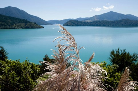 View Marlborough New Zealand South Island Ocean