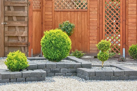 Ornamental Plants in Yard with Wooden Fence Barsel, Germany, Europe
