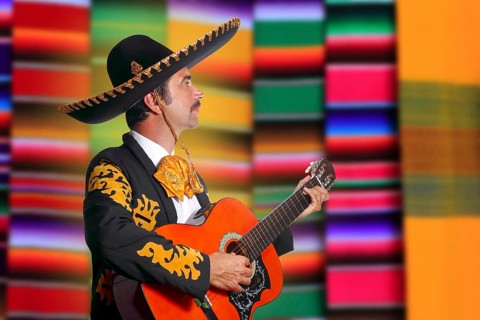 Charro Mariachi profile man playing guitar with blurred serape background