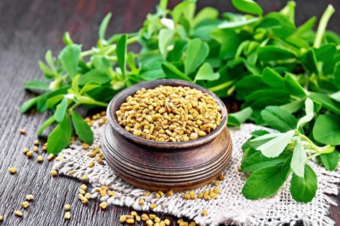 Fenugreek seeds in a bowl on a burlap napkin with green leaves on dark wooden board background