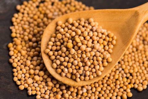 Sharp mustard seeds on a wooden background