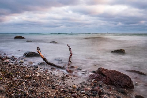 Driftwood on the coast of the Baltic Sea near Warnemünde
