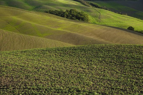 A beautiful tuscan landscape with autumnal colours