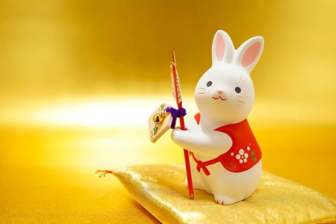 Rabbit year New Year material (2023 New Year). Shooting Location: Yokohama-city kanagawa prefecture