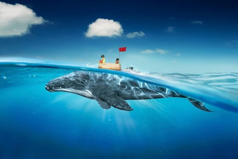 Sisters sea travel in the sea with cardboard ship and whale . Abstract dreams travel and success
