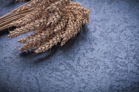 Ripe wheat and rye ears food and drink concept