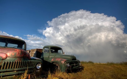 Vintage Farm Trucks Saskatchewan Canada weathered and old