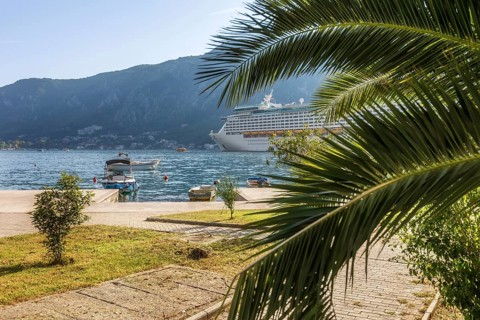 Kotor, Montenegro palm tree and cruise ship in Kotor bay, holiday background