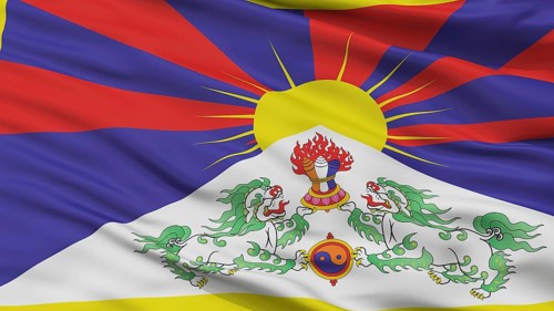 Tibet Flag, Closeup View